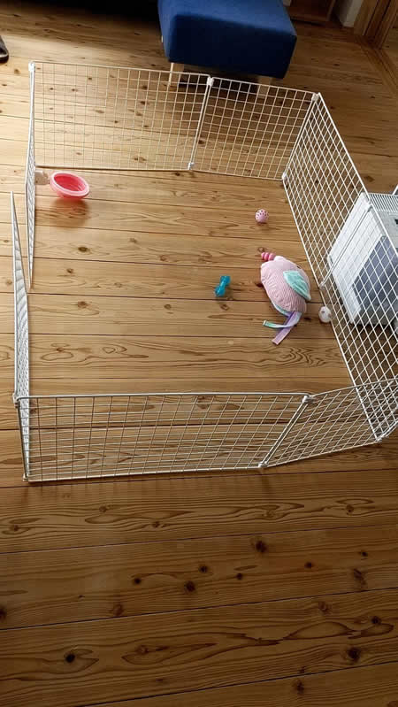 カフェちゃんのサークルw450
