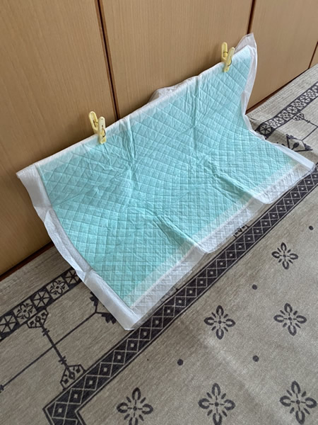 カイ・レンくんのトイレ3